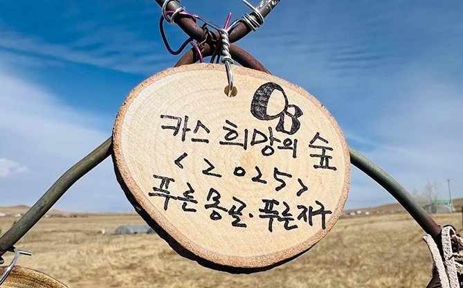 몽골 카스 희망의 숲 조림사업 중 나무 원형 태그에 ‘카스 희망의 숲 2025 푸른 몽골 푸른 지구’라고 손글씨로 적혀 있는 모습이 있습니다.